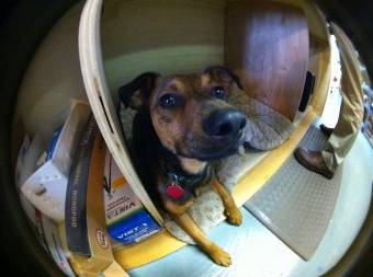 Фишай 3 в 1 (универсальный)